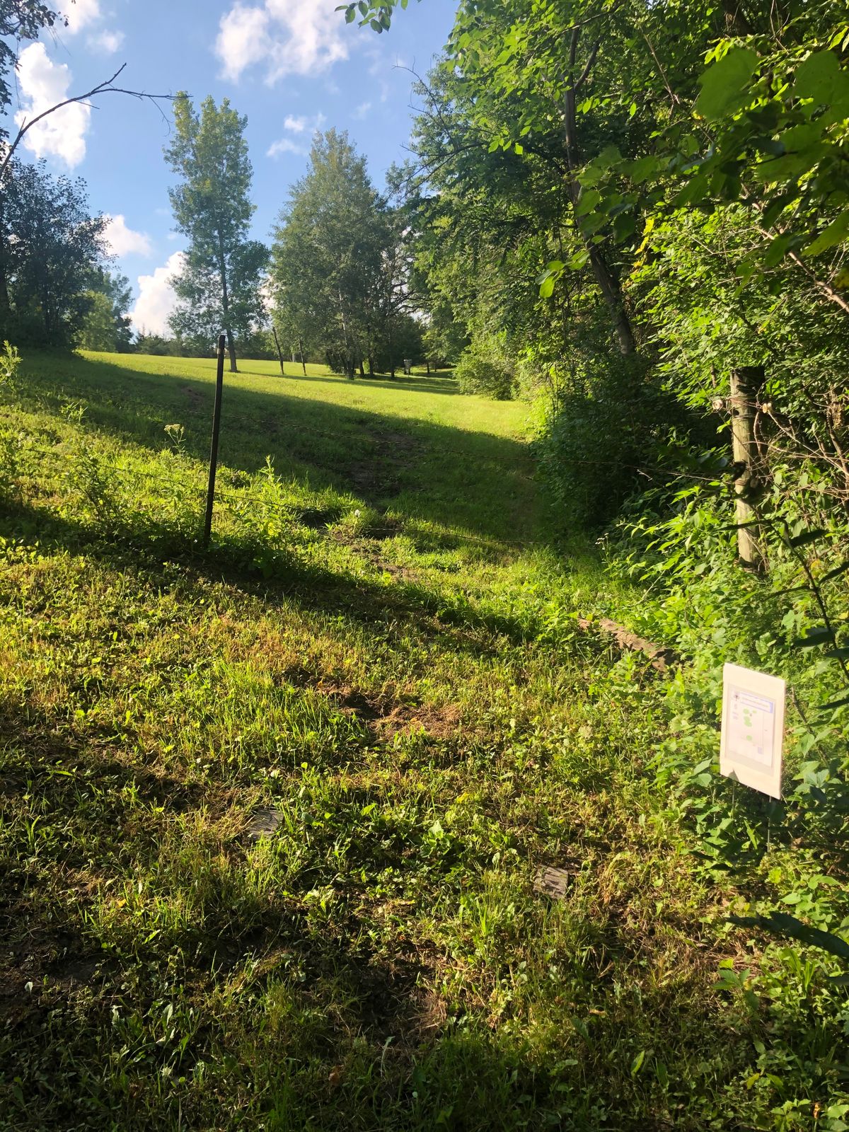 Tee Hole 6 (fence OB)
