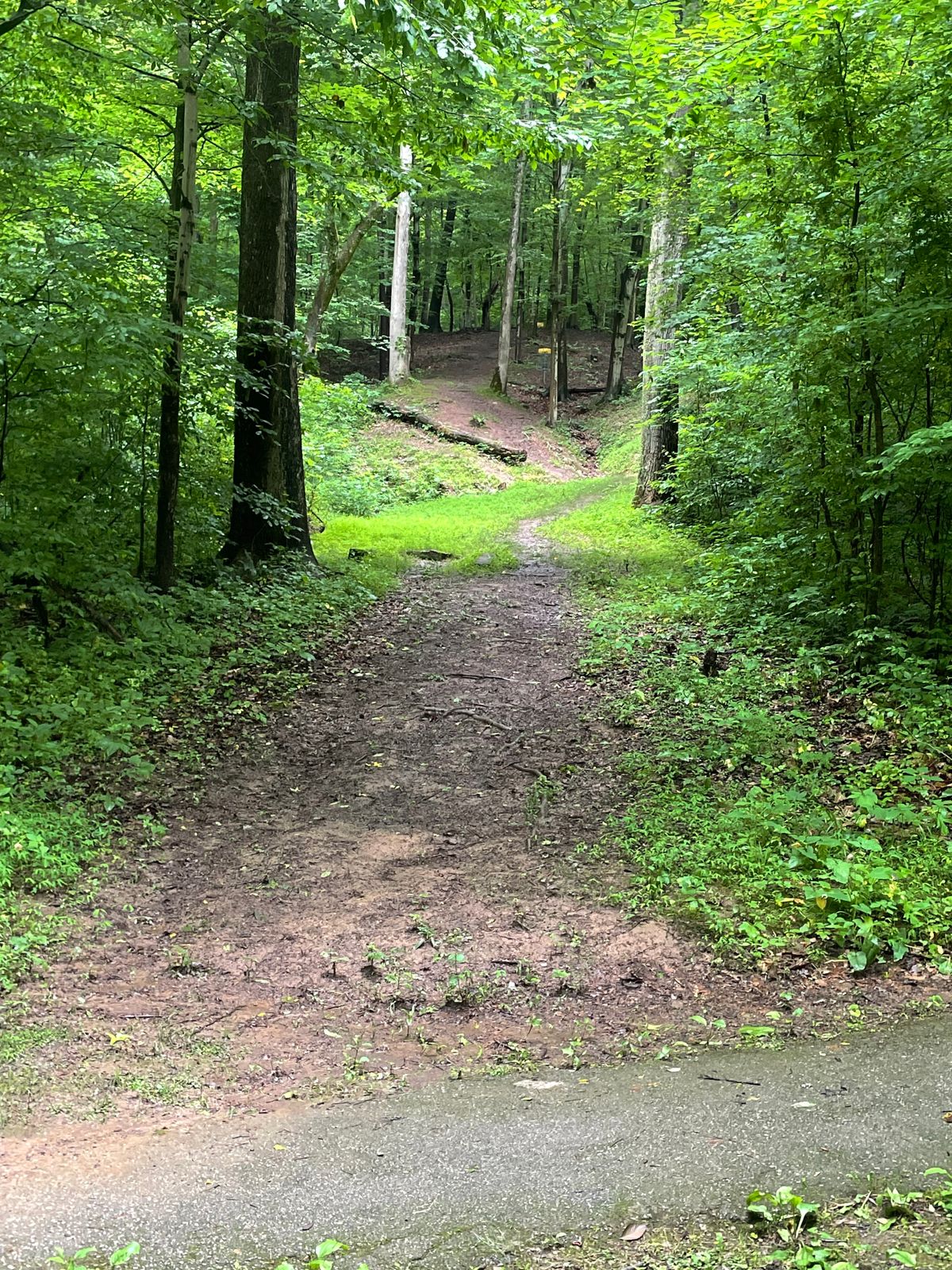 From the tee of hole 3. Short and long pins can be seen up the hill.
