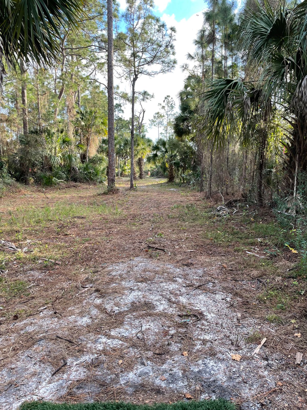 Hole 7 short pad to short basket
