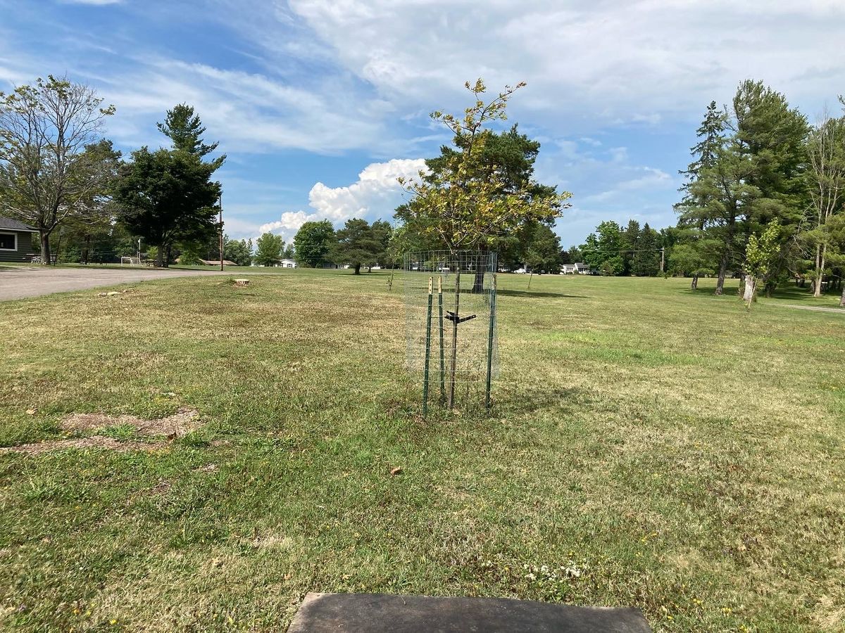 Hole 12