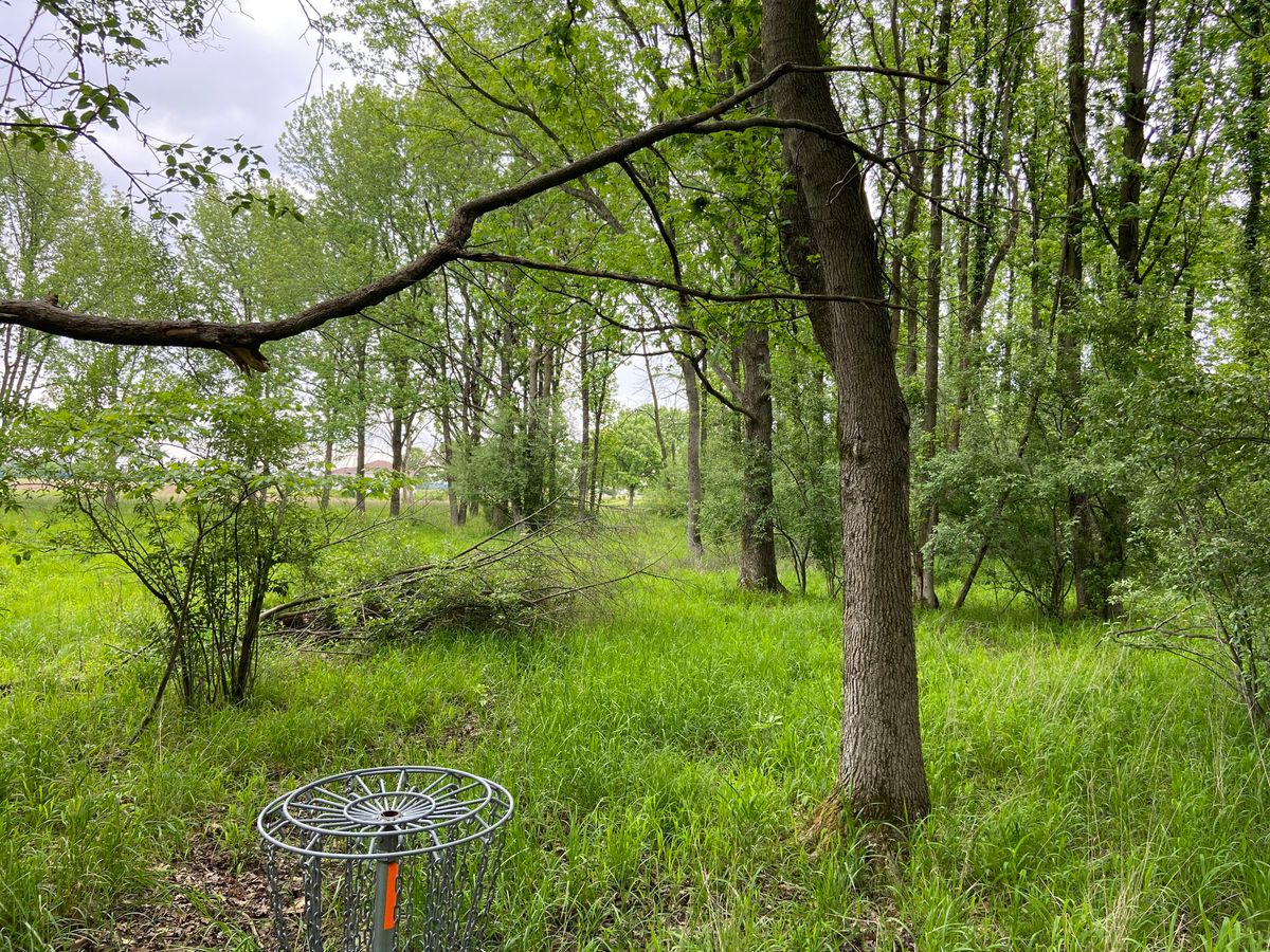 Hole 7 basket to tee.