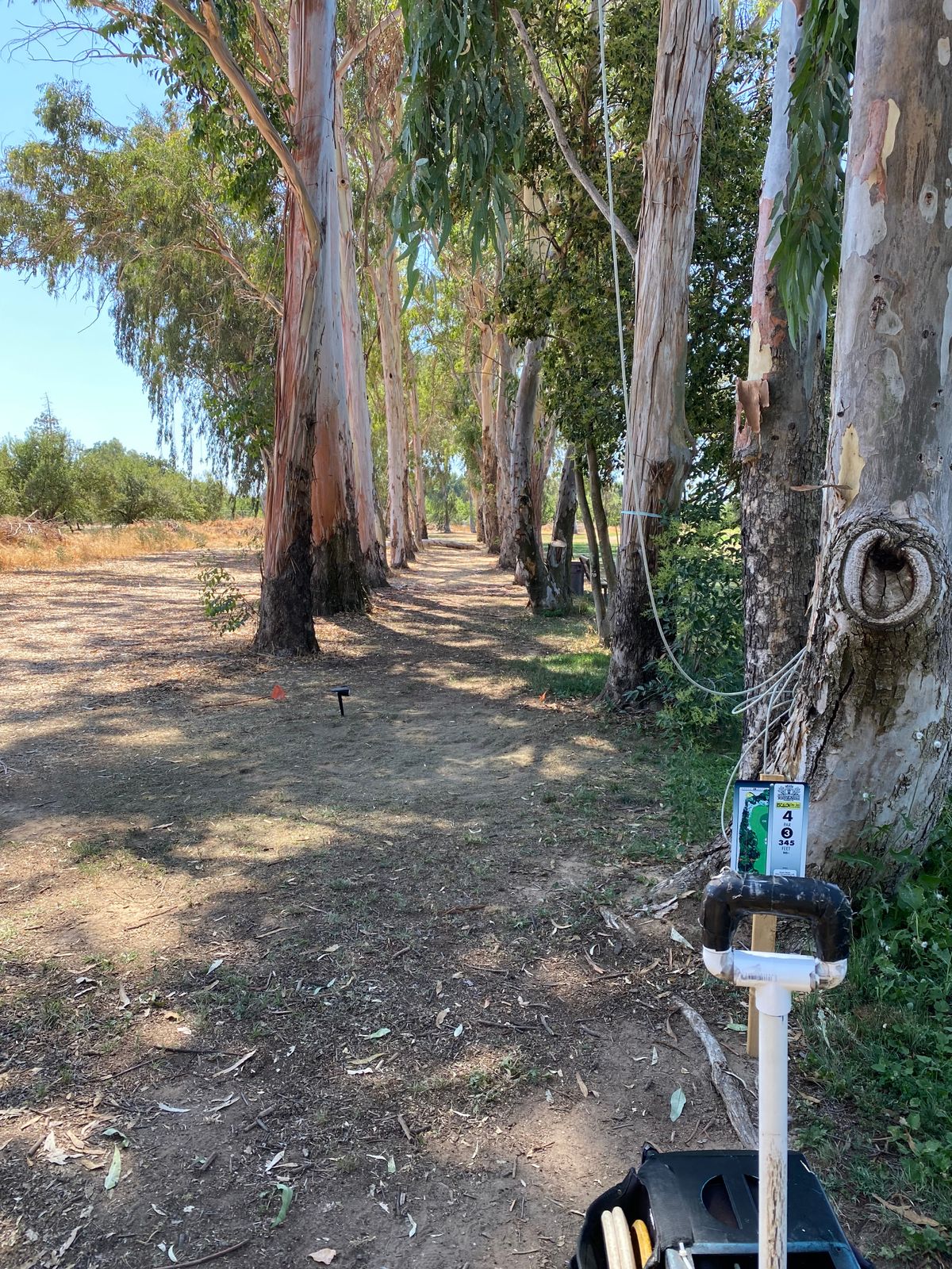 Hole 4 Tee