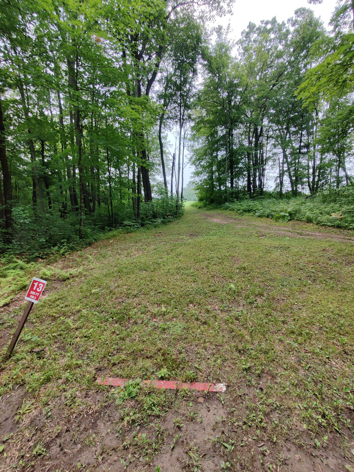 Tee 13