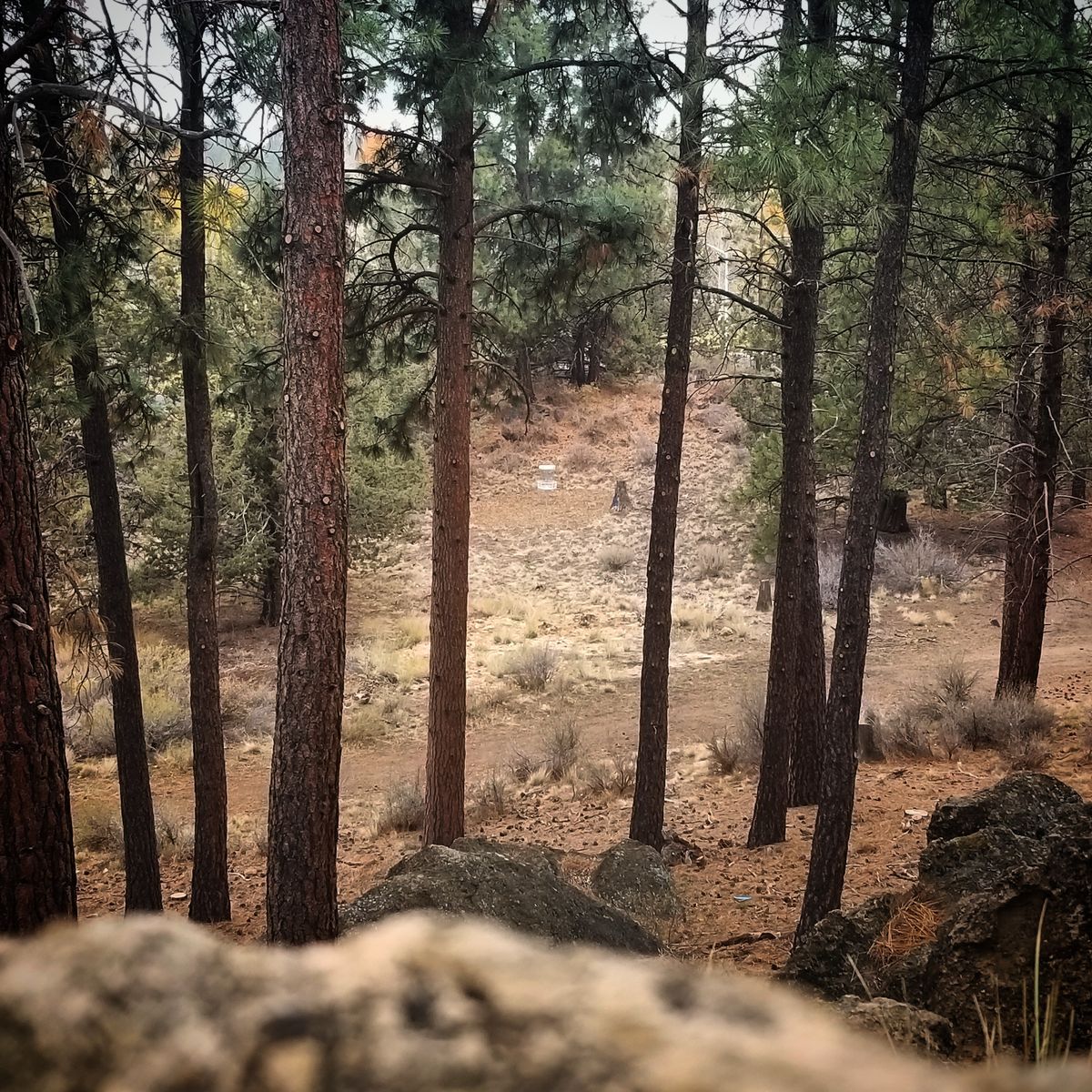 Hole 7 from teepad