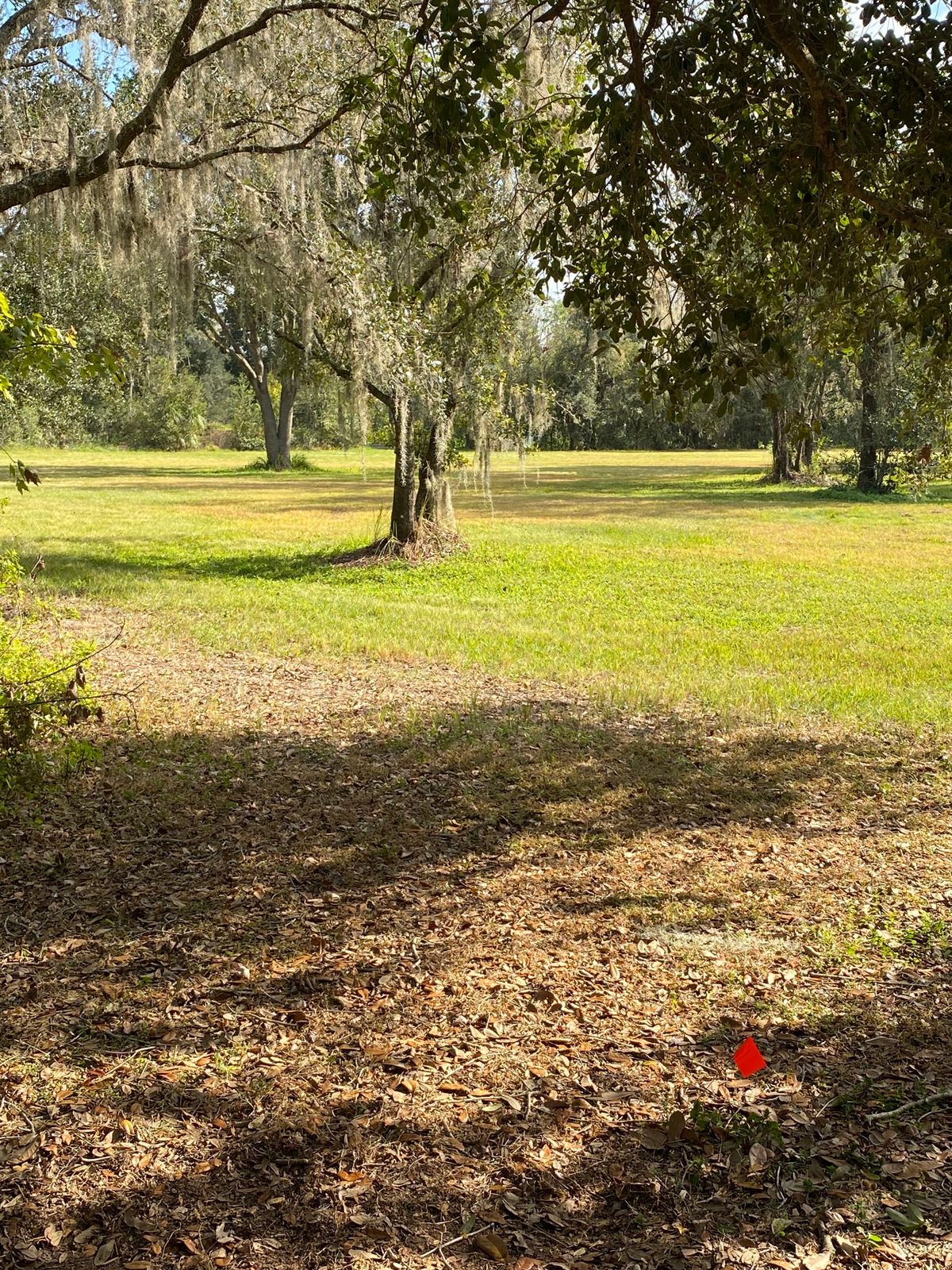 Hole 5 looking towards basket.