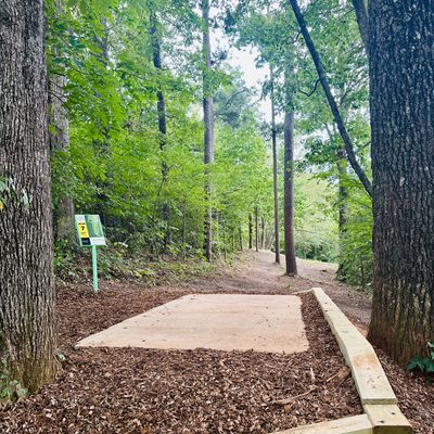 Hole 7 tee pad