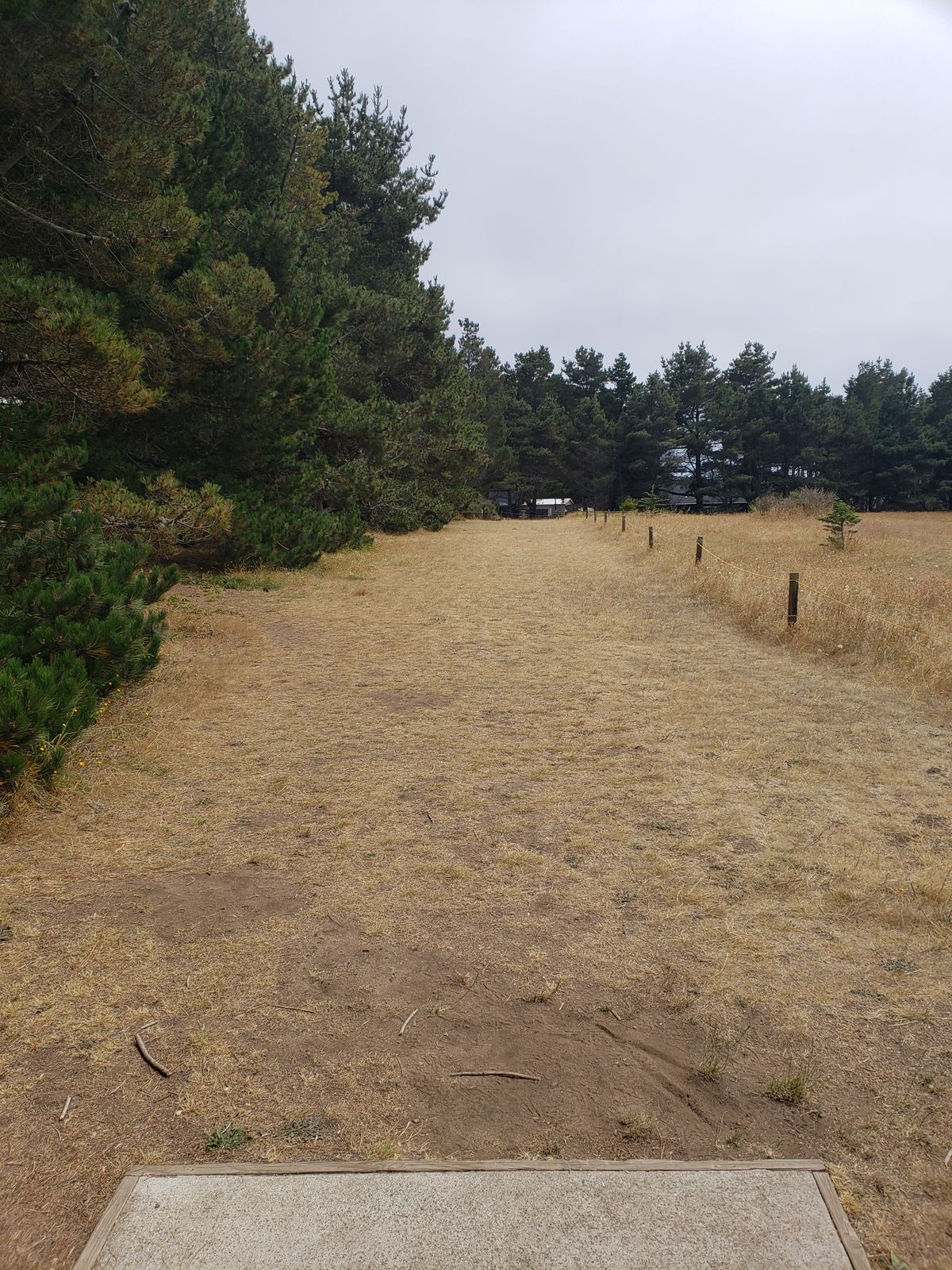 Hole 9 teepad