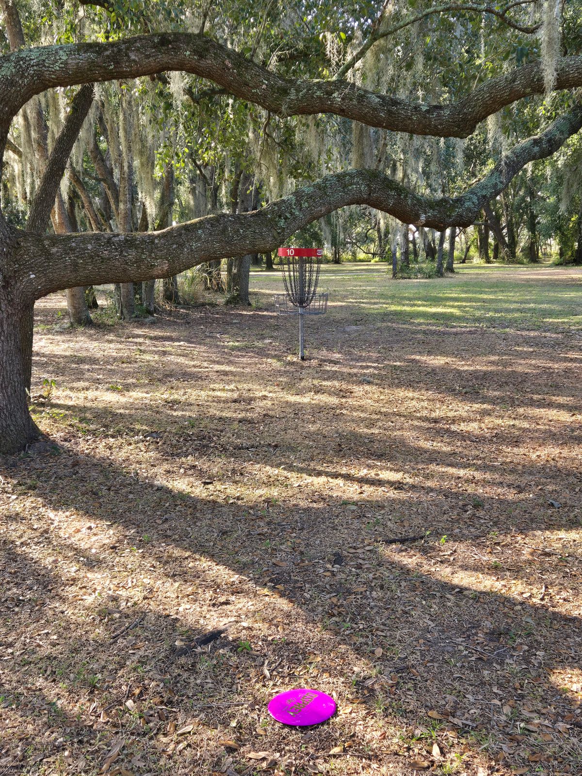Hole 10 basket.