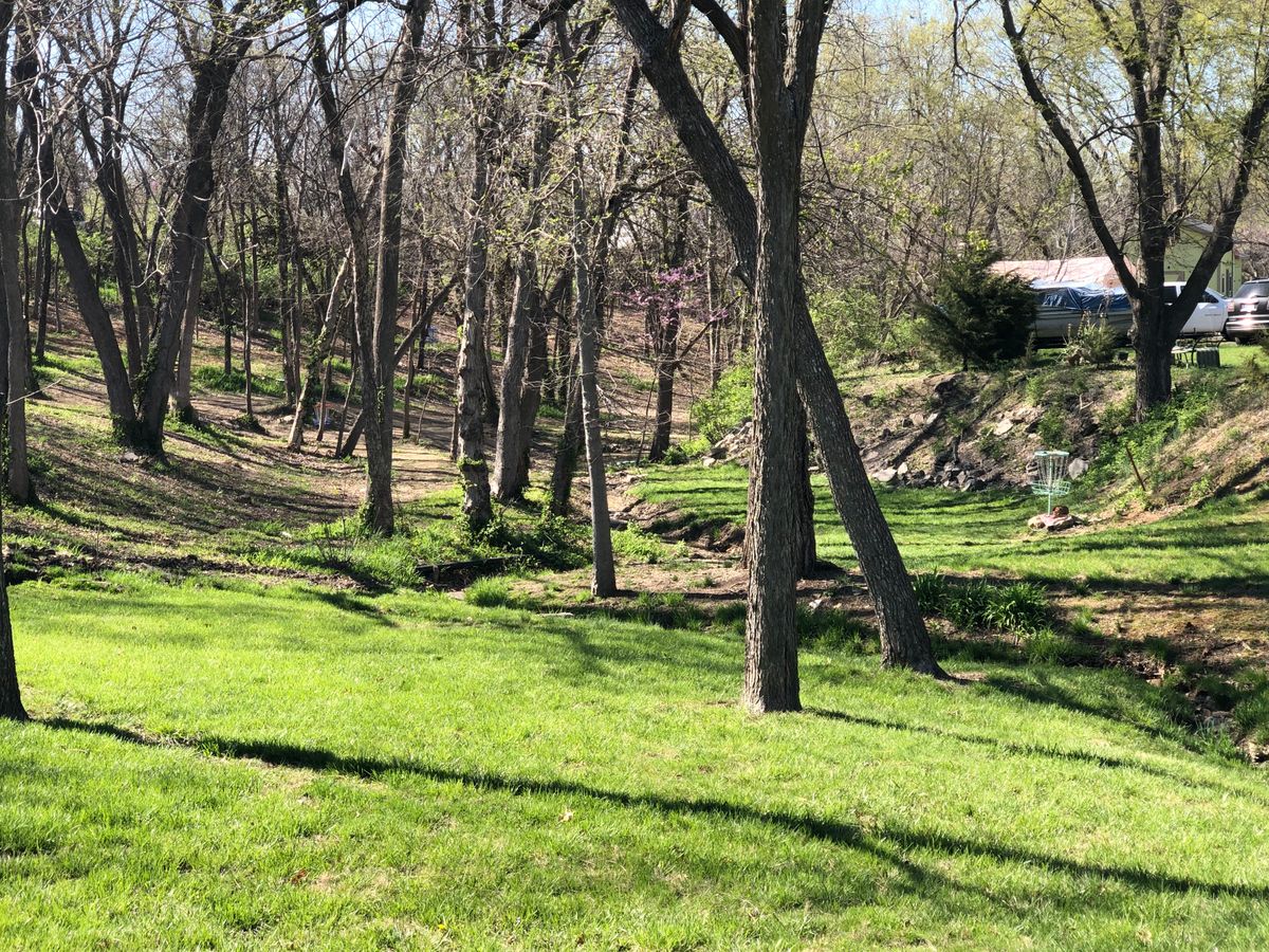 Grass finally coming in