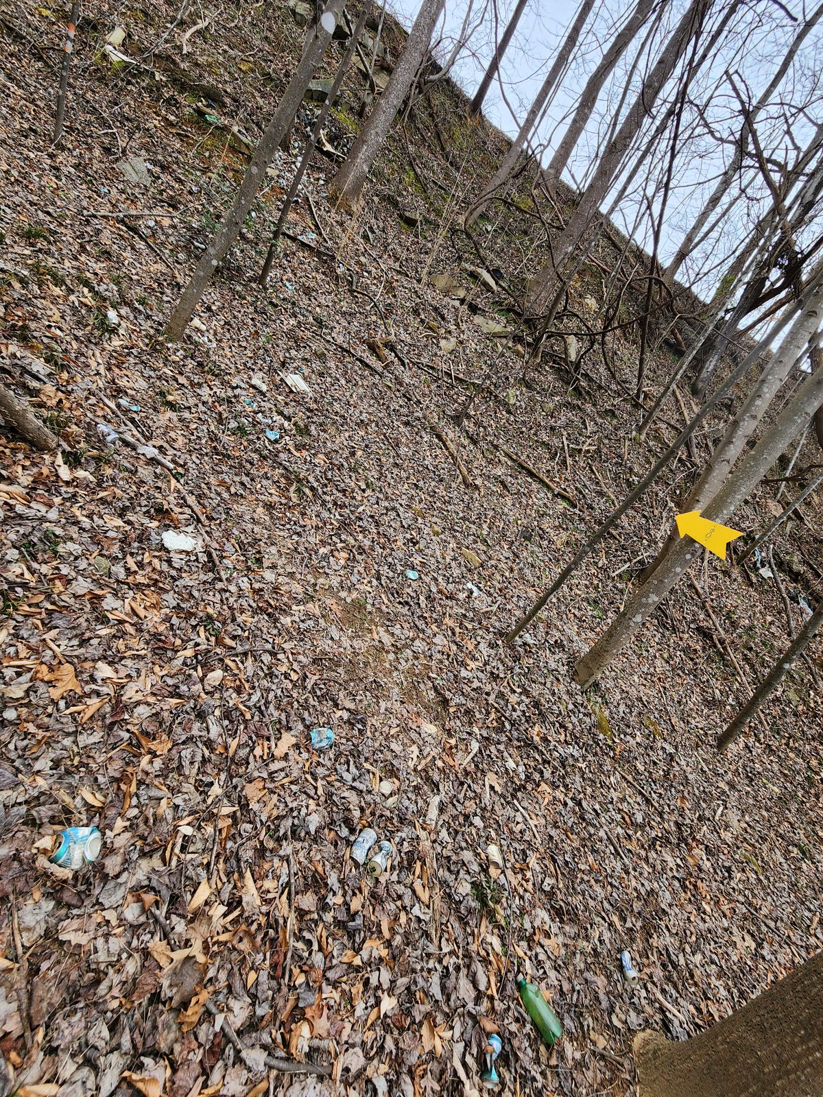 These are some oooooollllddd school soda cans. Much older than the course. Never bothered to clean up while putting up course