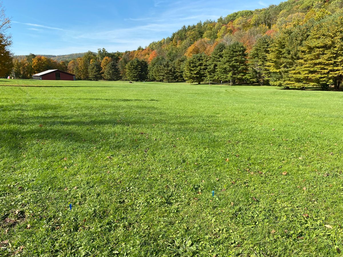 #6 tee box, 405’ open bomb.