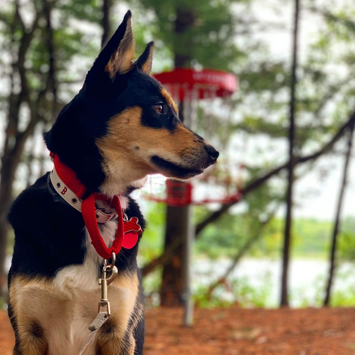 Hole 8.