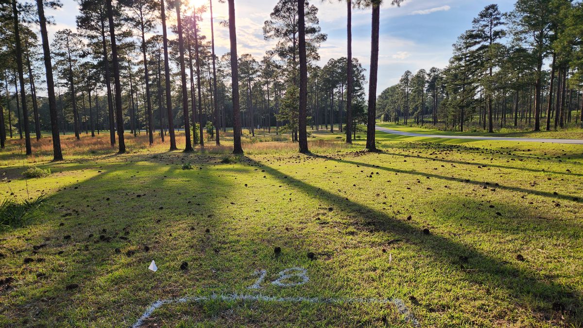 Hole 18 838'