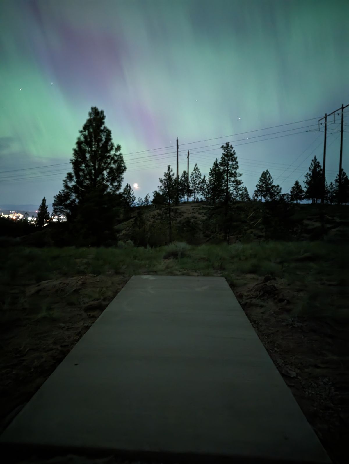 Northern lights meets Rose Hill