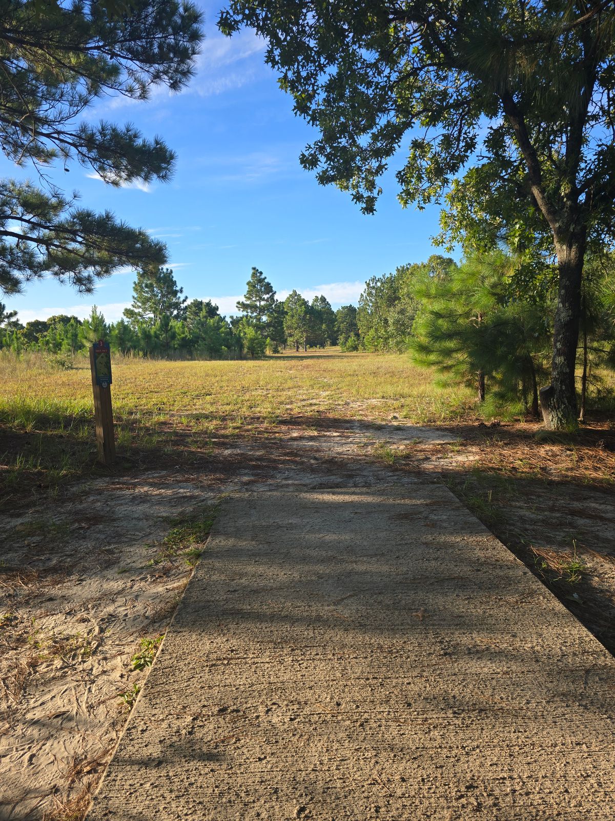 Tee Pad Gole # 3.