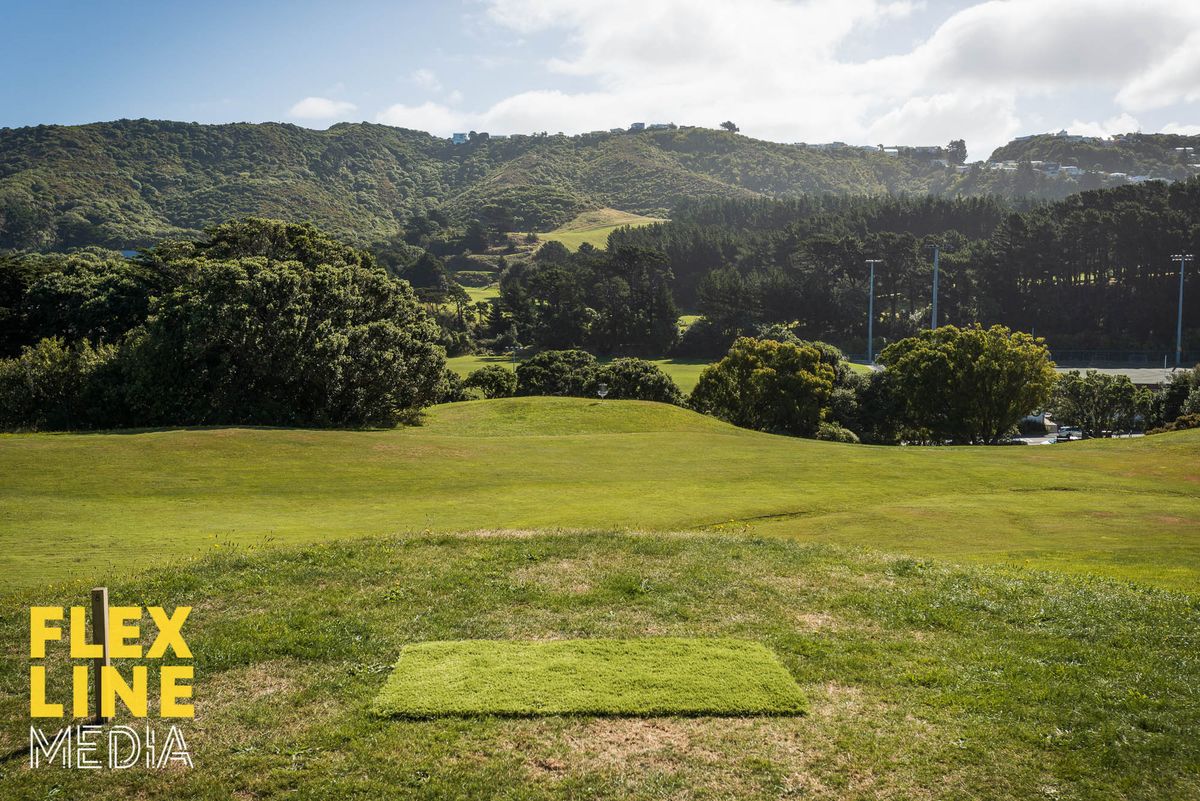 Courtesy of Fle Line Media