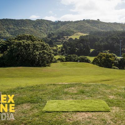 Courtesy of Fle Line Media