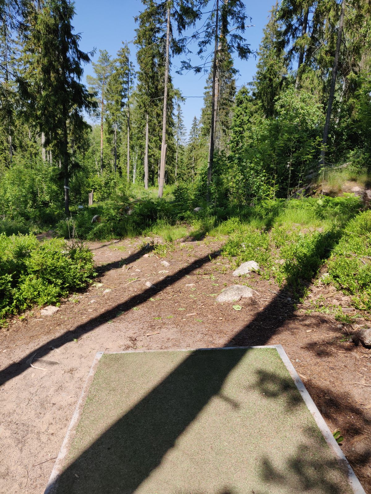 Väylä 5, kinkkistä suoraa, lopuksi alamäki