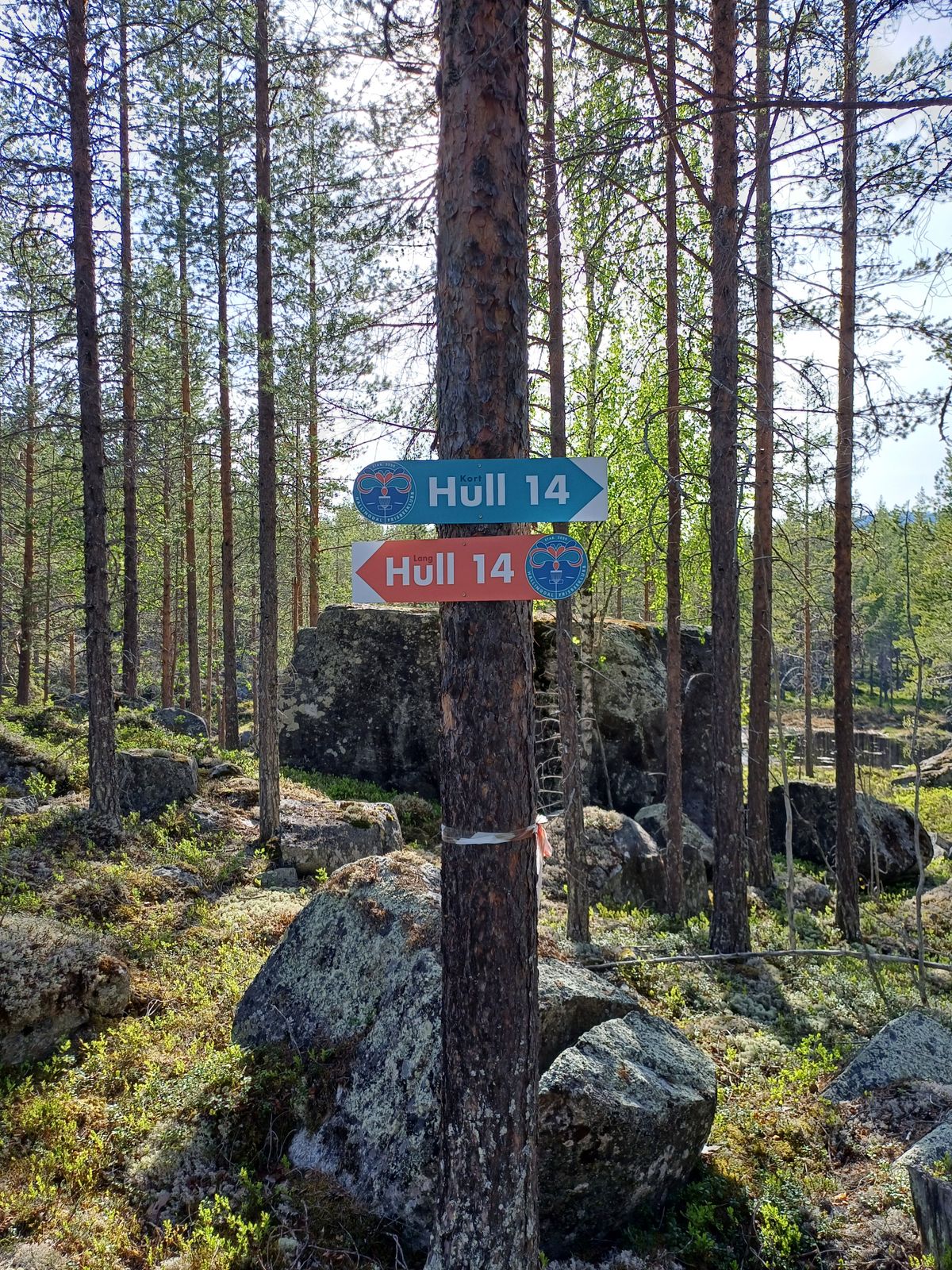 Går du for langt eller kort utkast🤔