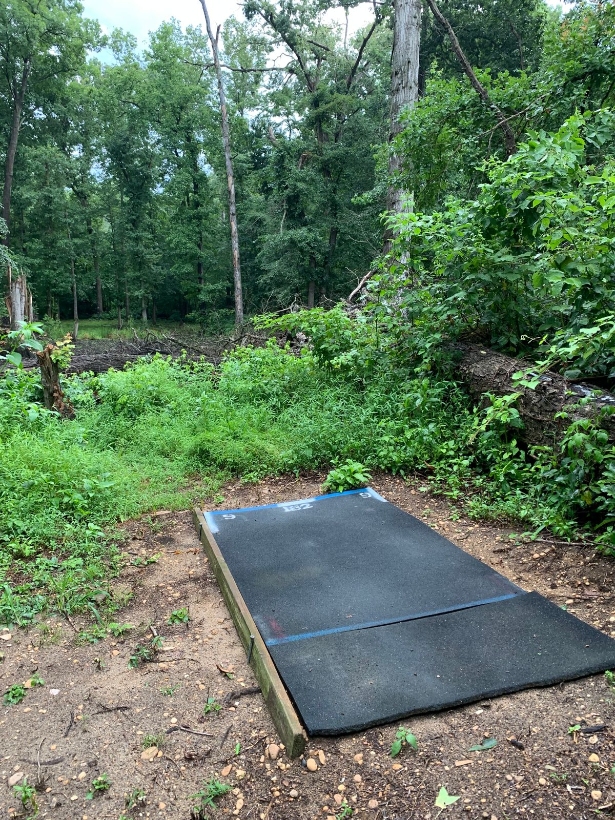 Hole 9 Blue tee in the heart of tornado alley! 182’ across an OB pond (also roped off).