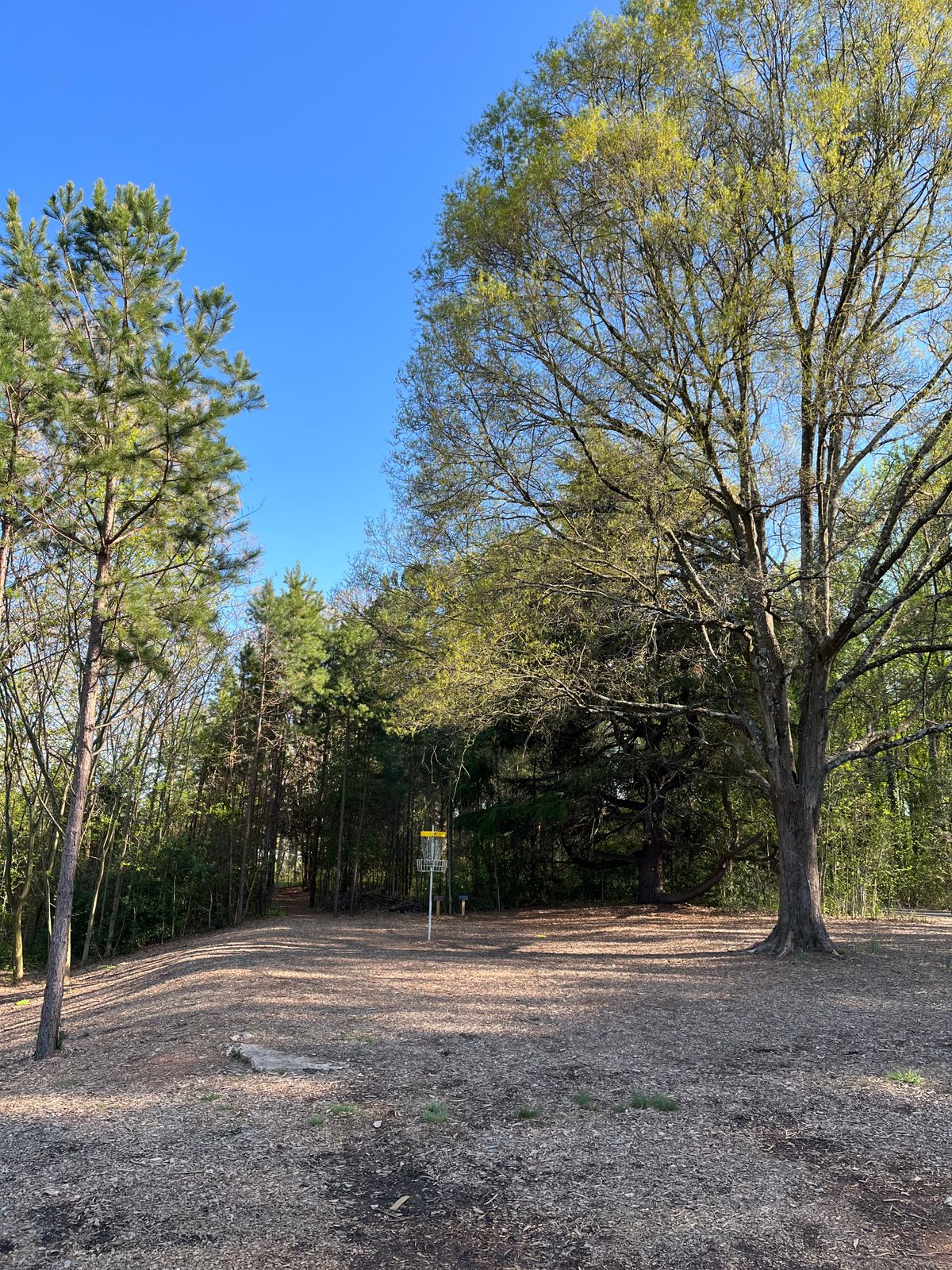 Hole 2