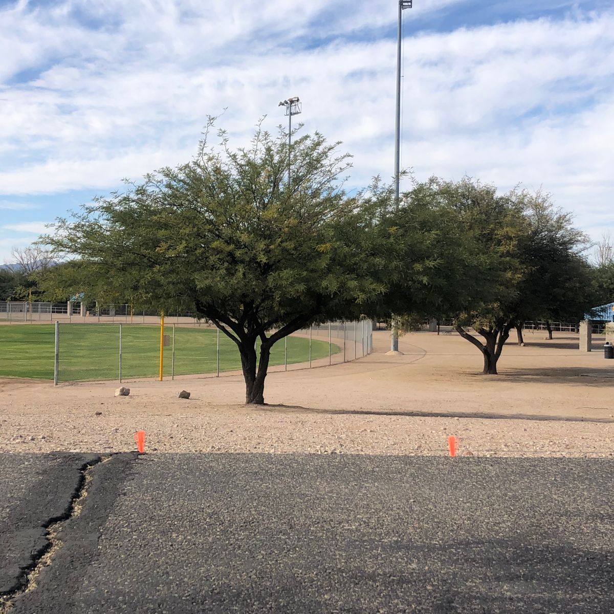 Hole 9 Tee Pad - Throwing north to basket down the hill around  softball field under big tree