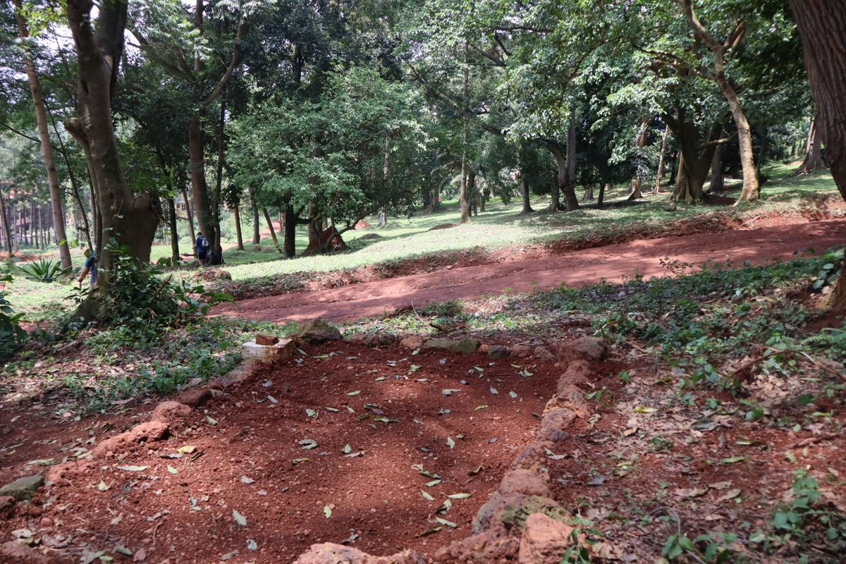 Hole 9 long tee