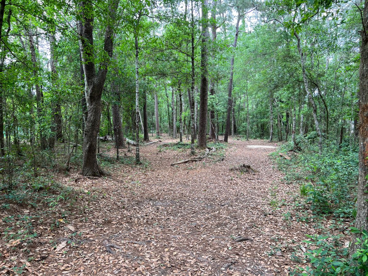 Hole 7 Blue