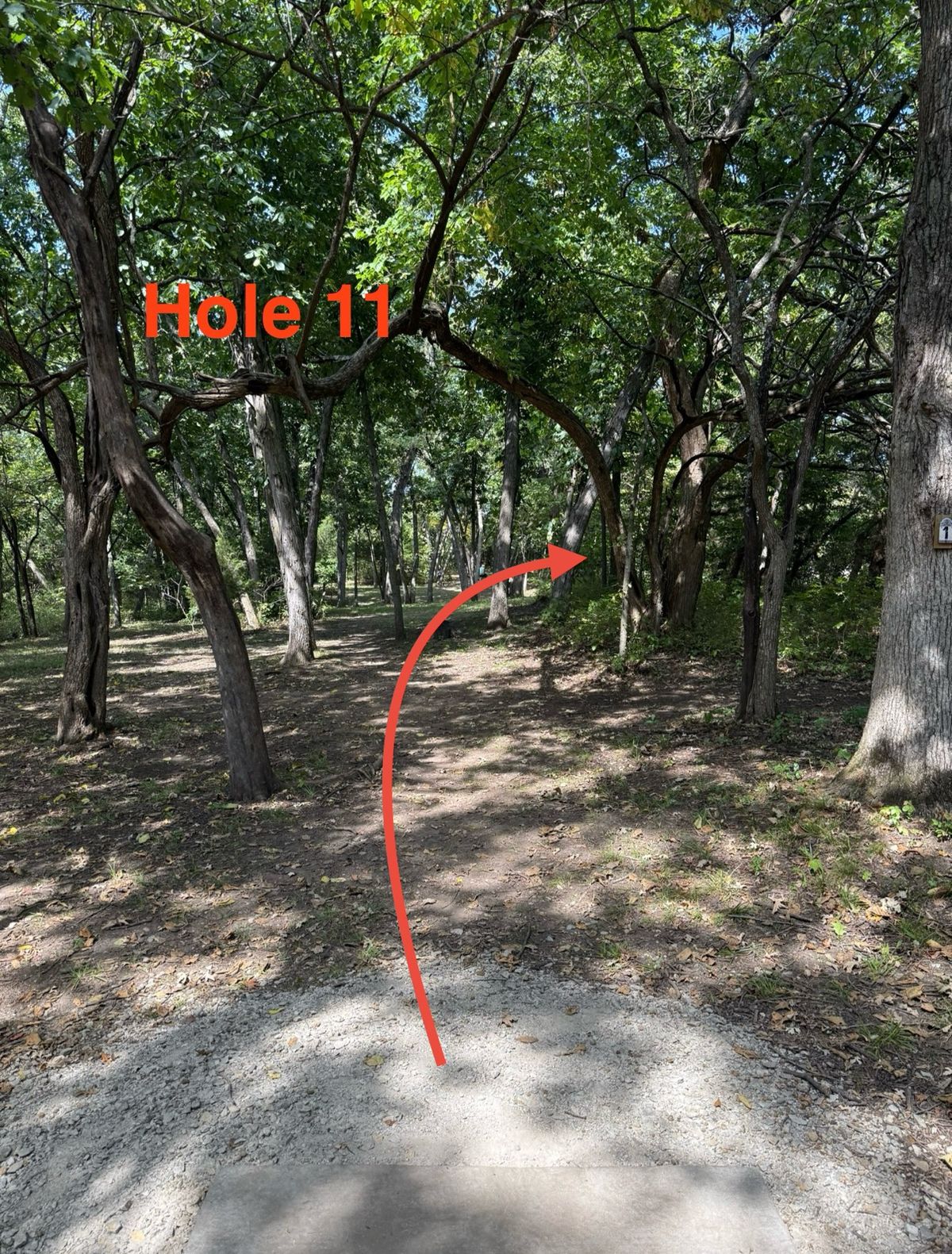 Long gradual left to right tunnel shot with basket hidden in cubby of trees