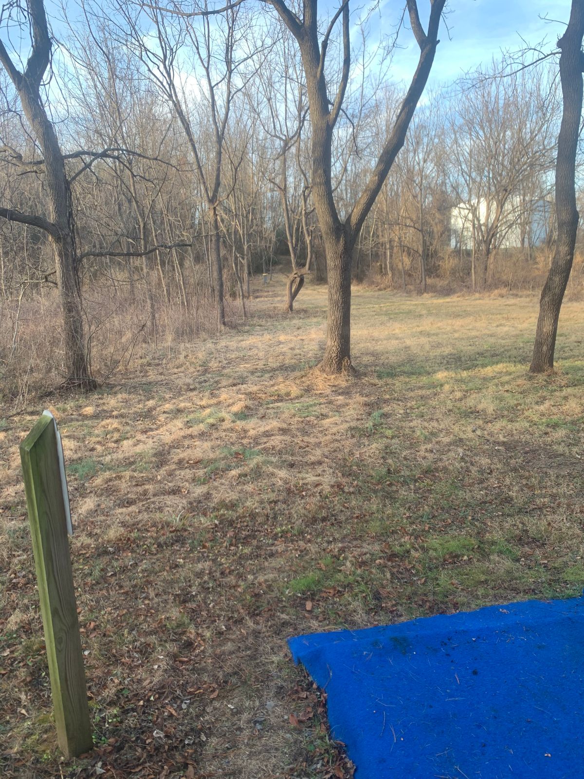 Hole 5 tricky little right to left playing 200 feet somewhat downhill.