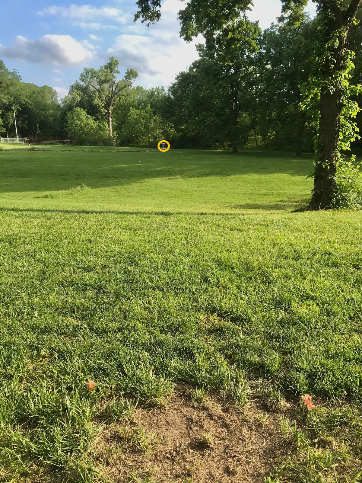 Hole 4 Tee