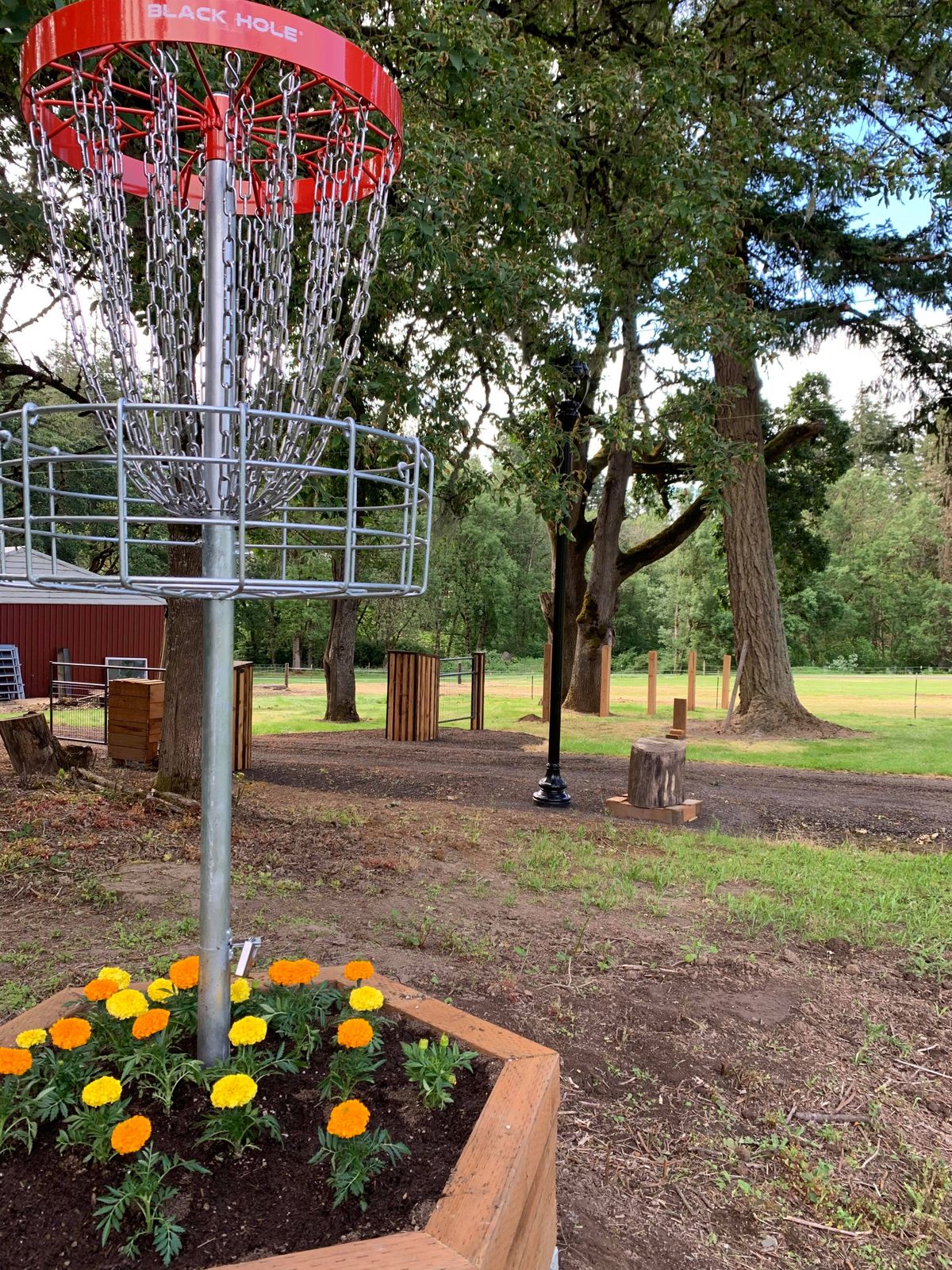 Hole 1 green (photo credit Brad Rich)
