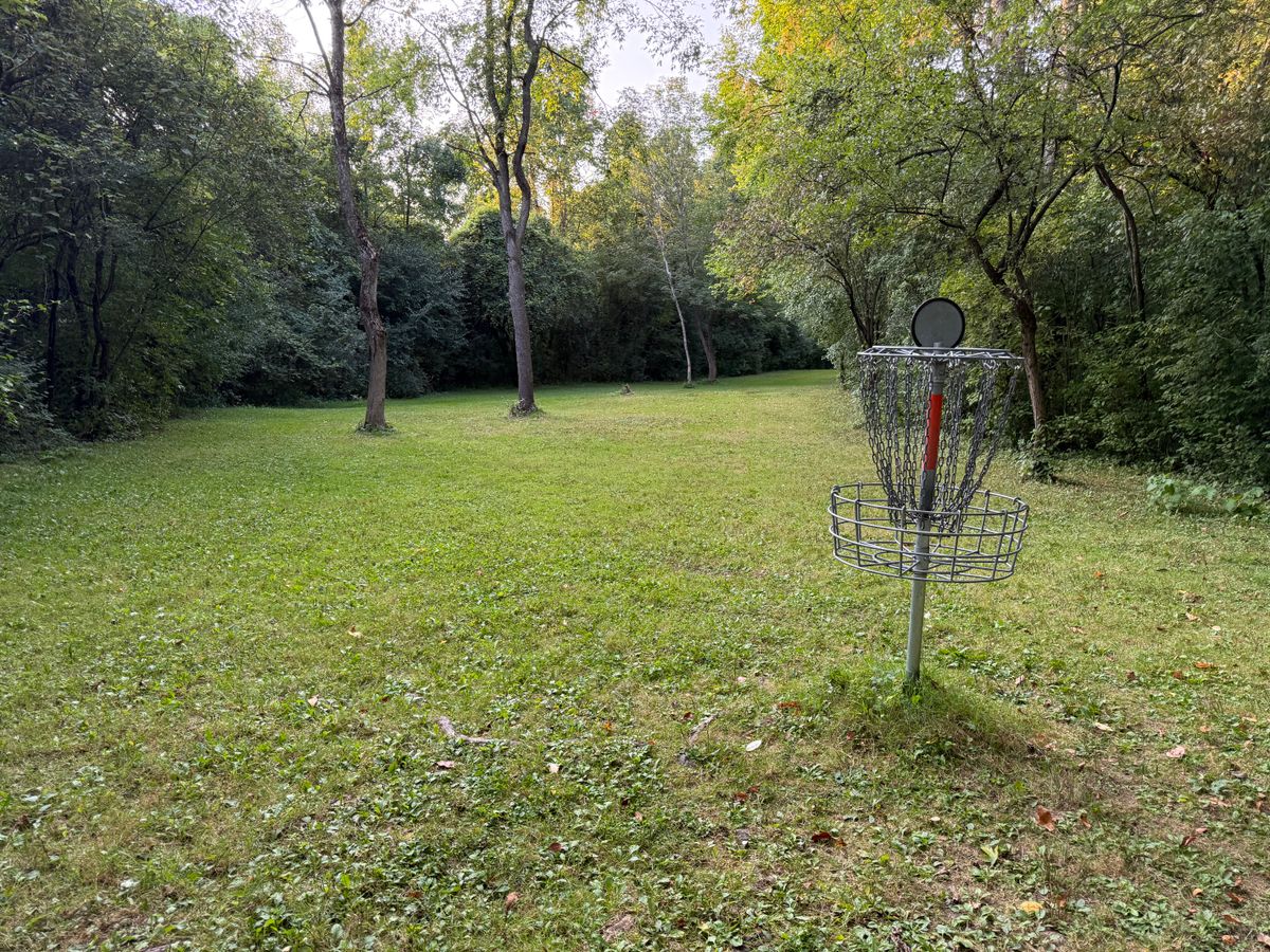 Hole 8 Basket to Tee