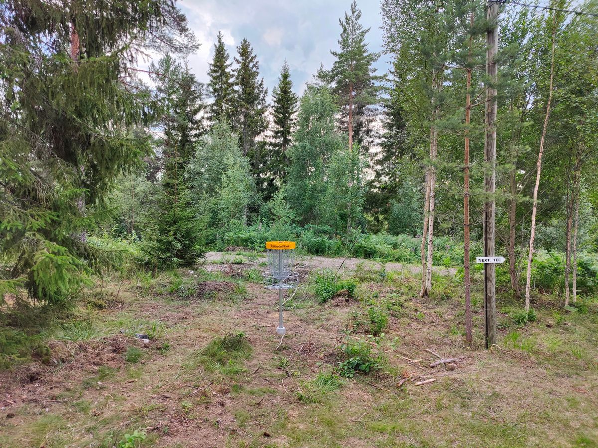 Väylä 6 kori