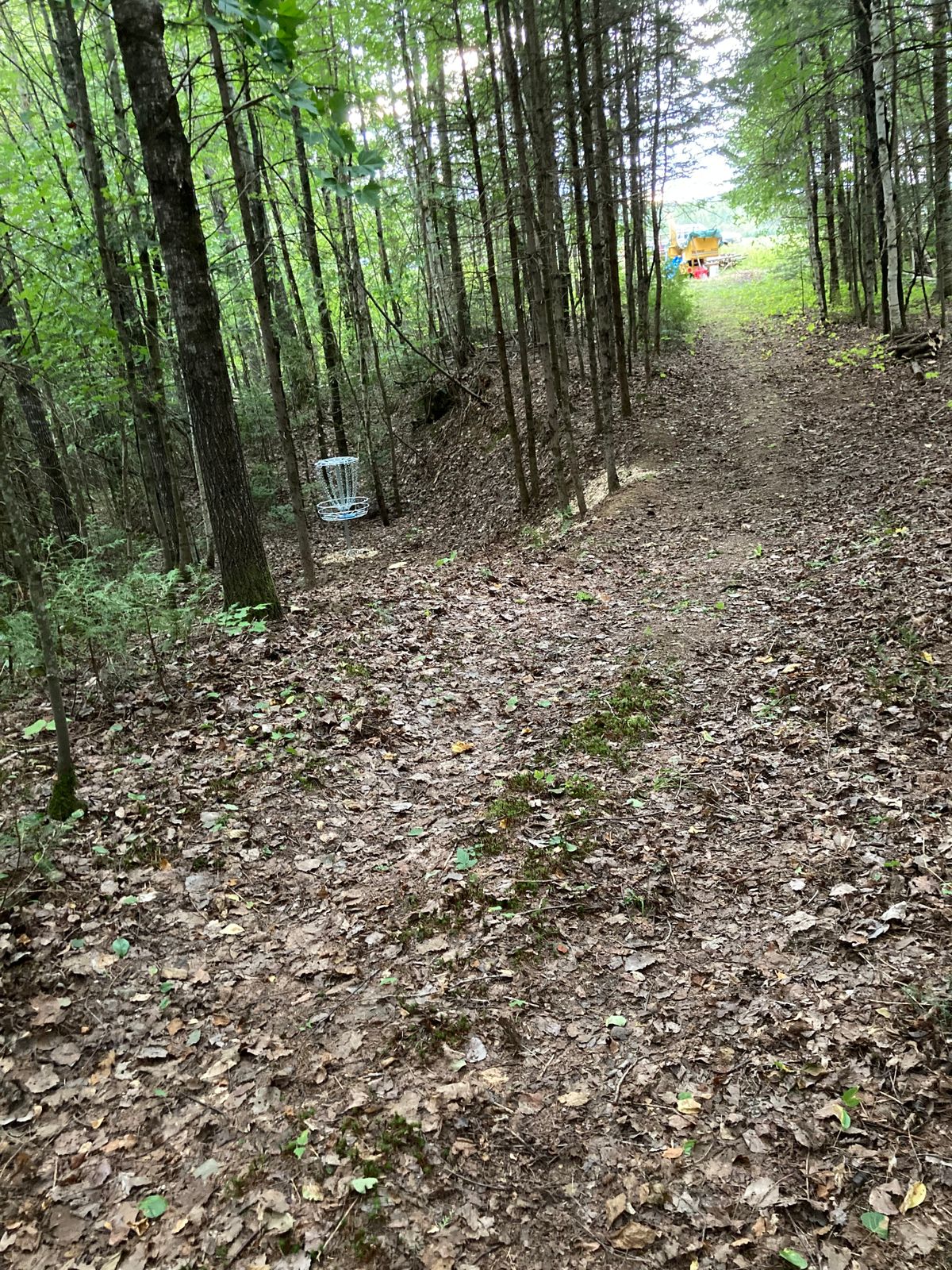 Hole 10 (234ft) straight shot, under stable backhand
