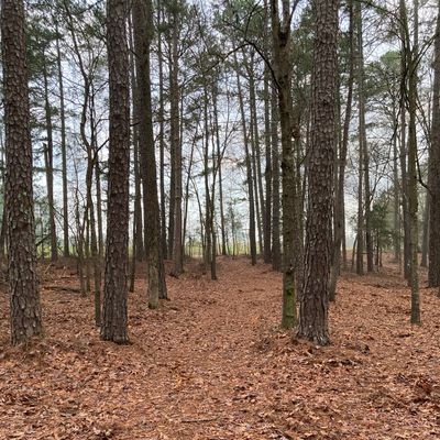 Hole 3 tunnel shot 150’