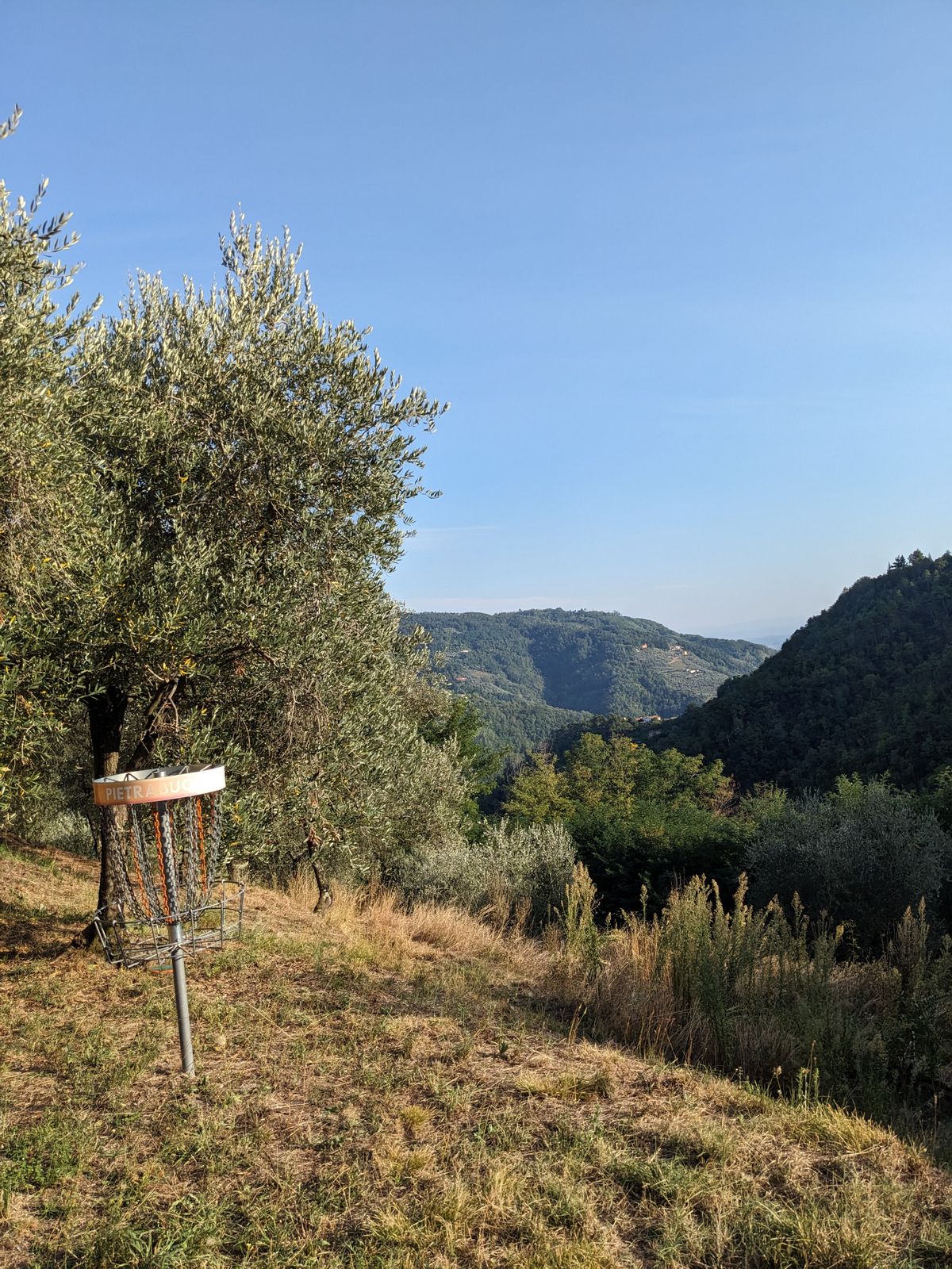 Disc golf and mountains before sunset! What could be better