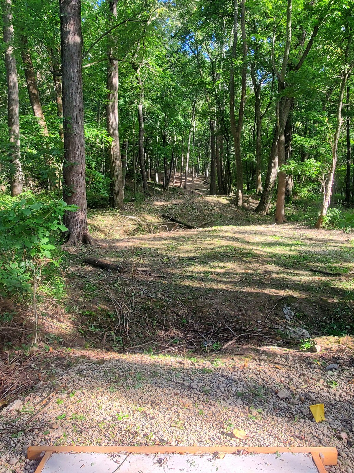 Hole 5