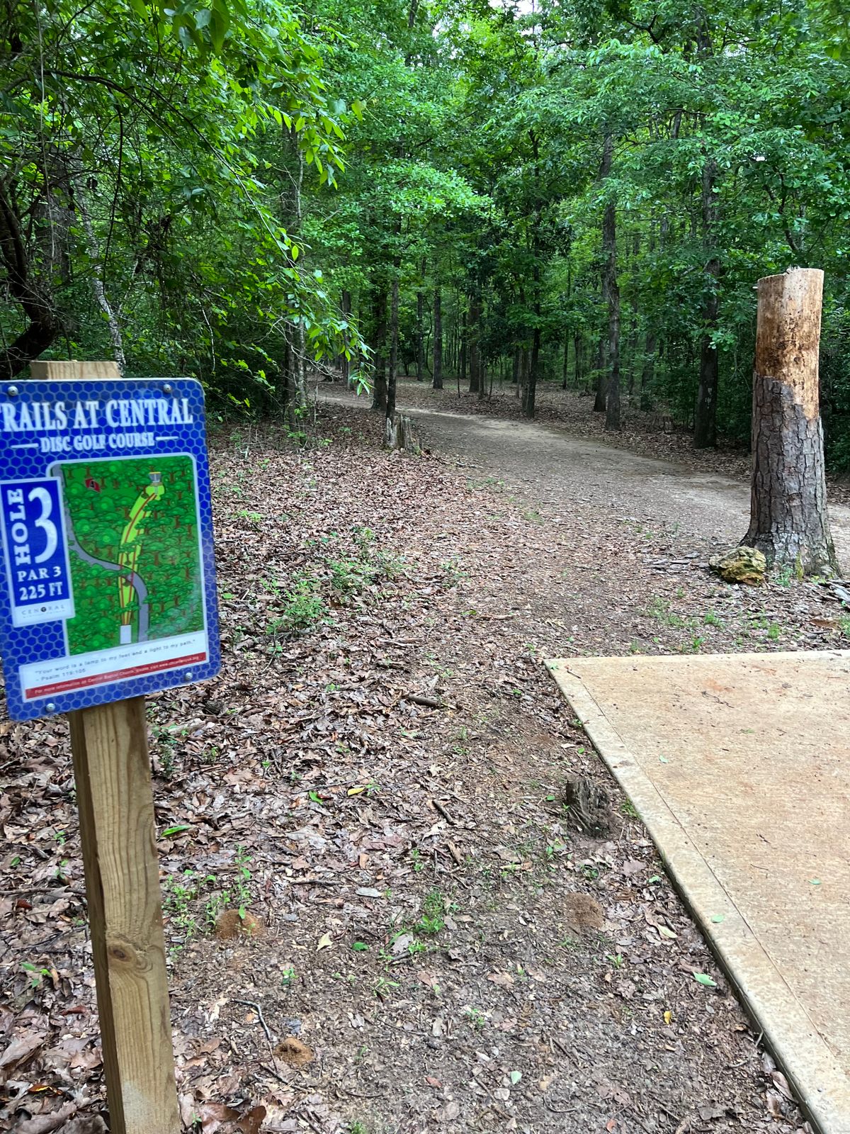 Hole 3