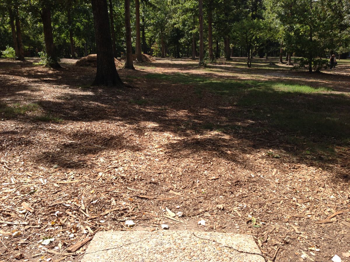 Hole 11