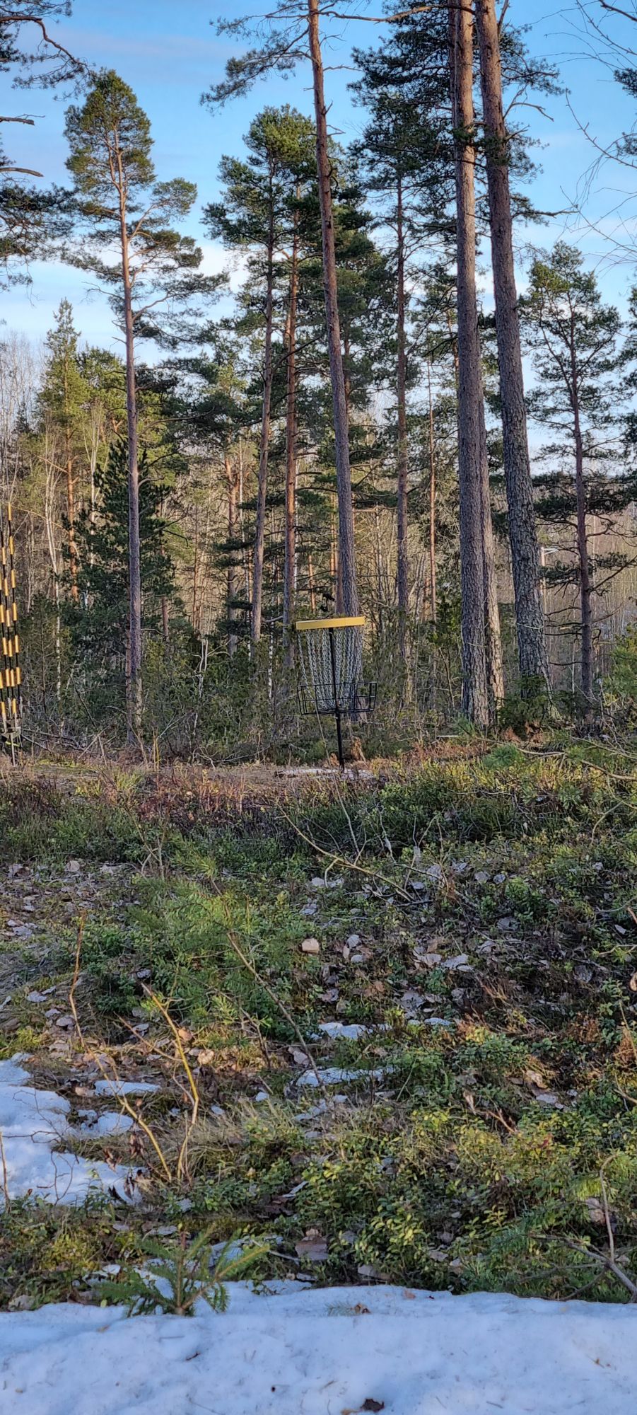 12 väylän kori