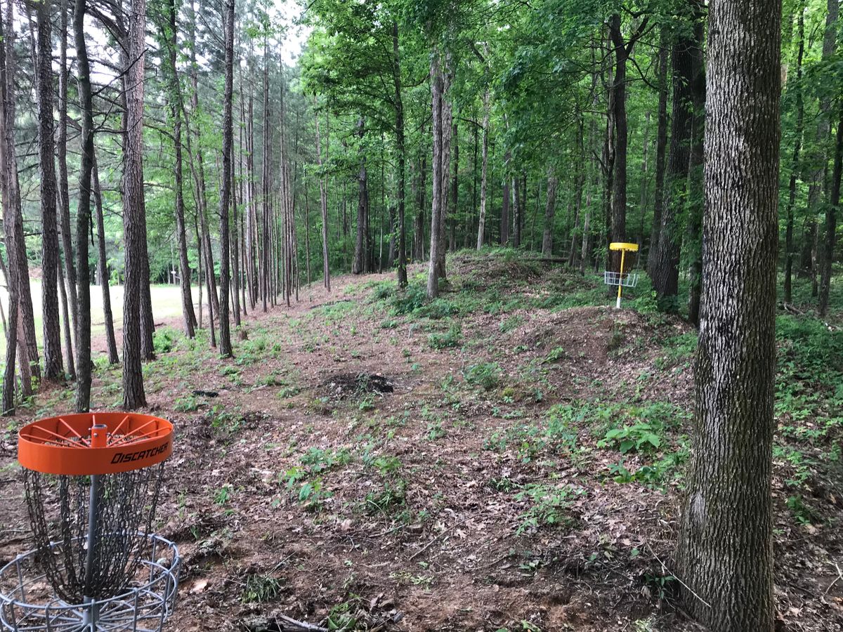 Hole 4 basket to tee