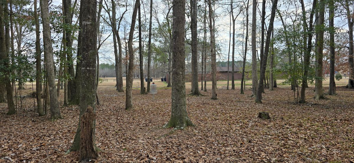 Basket location for hole 14, Once you get through all the trees is fairly open. You can see the maintenance building behind as well as fairway for hole 12