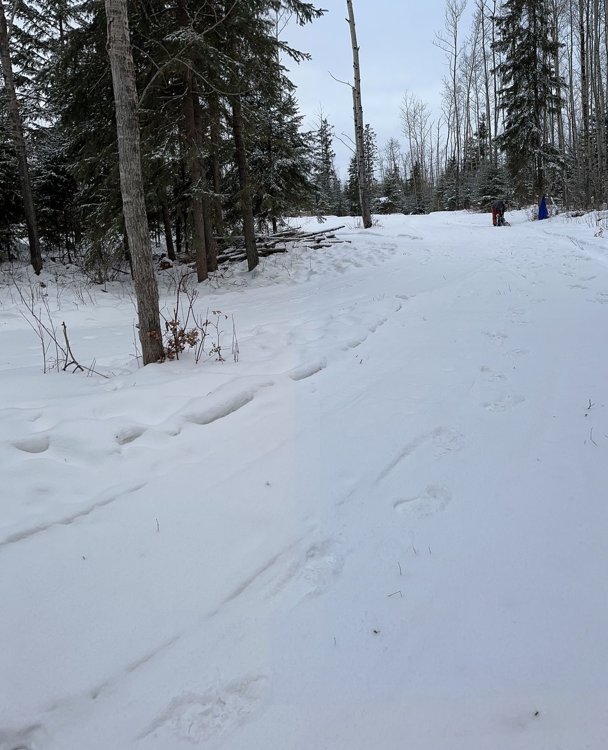 11 groomed fairway