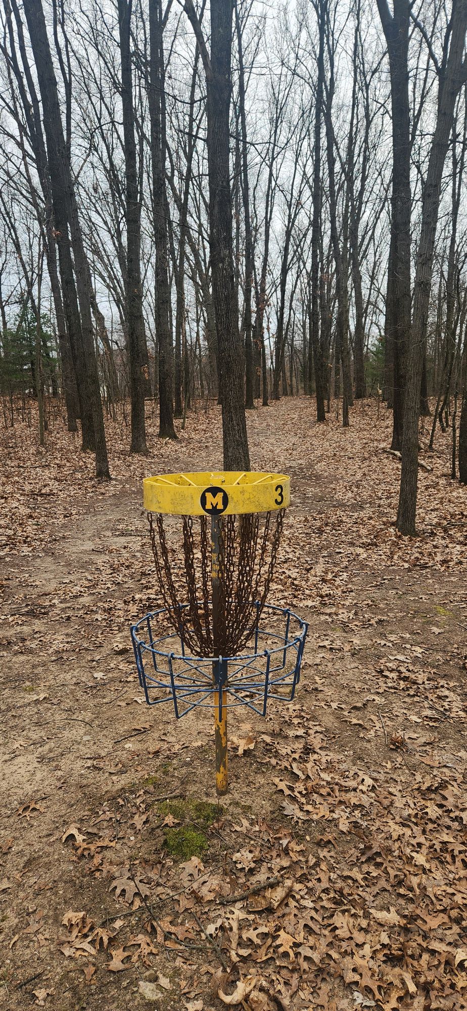 Hole 3 basket to tee pad veiw