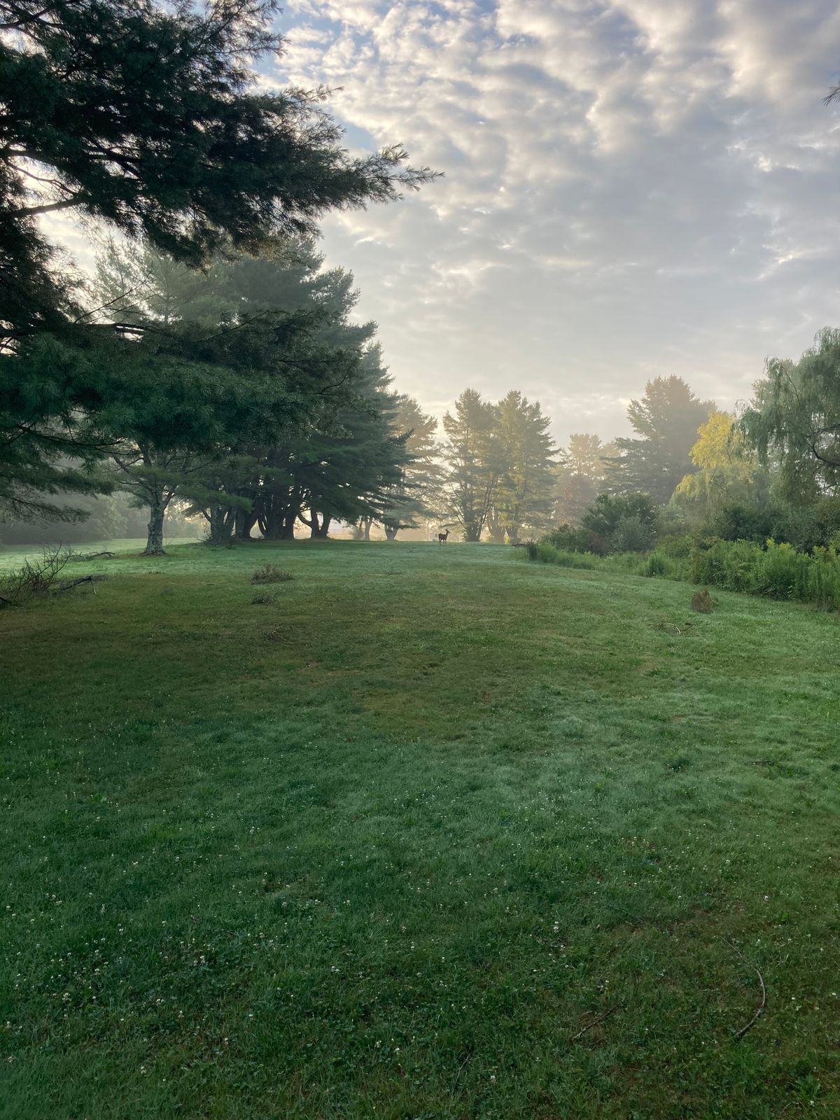 Hole 2 tee