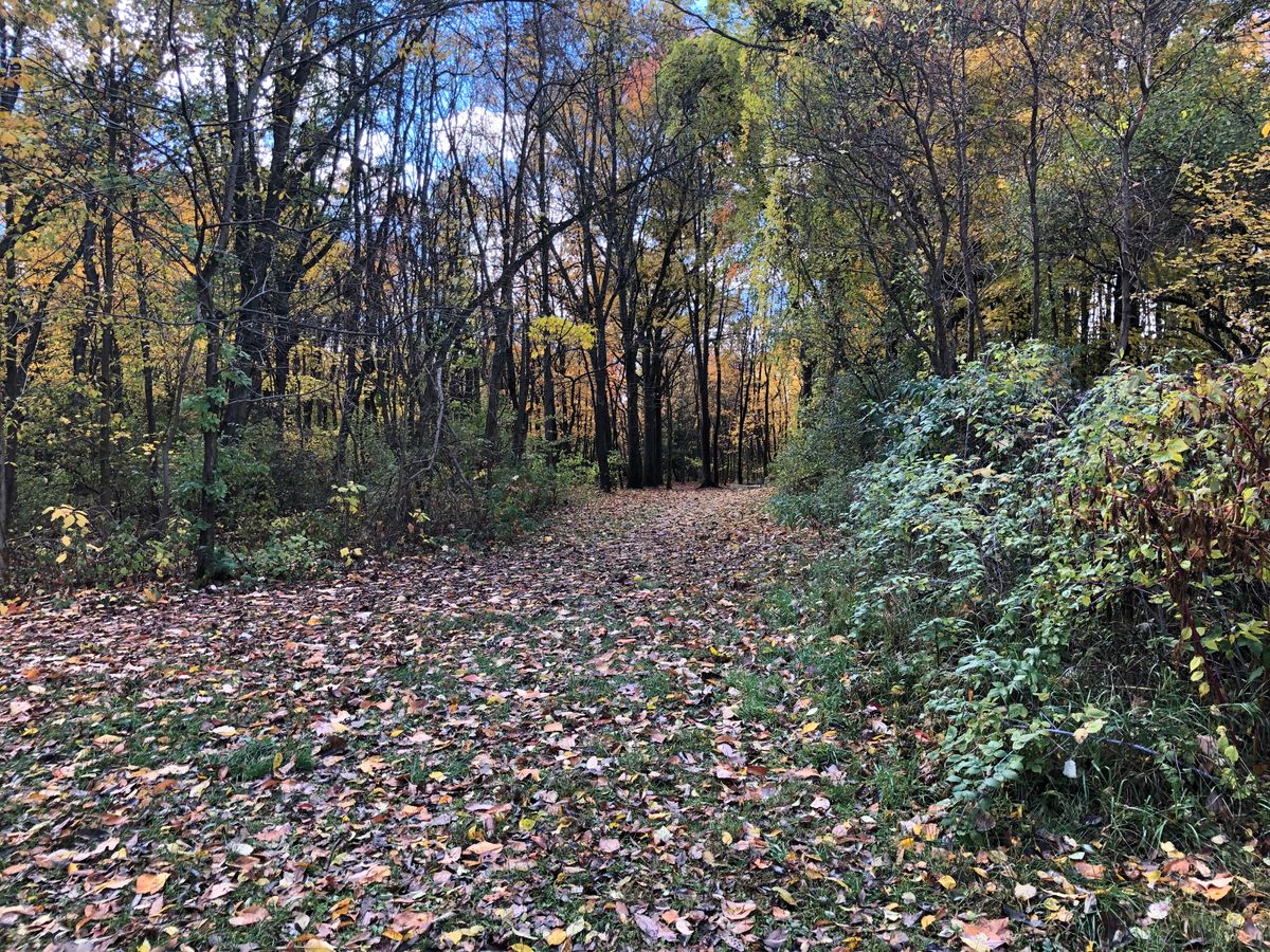 Hole 3 long teepad