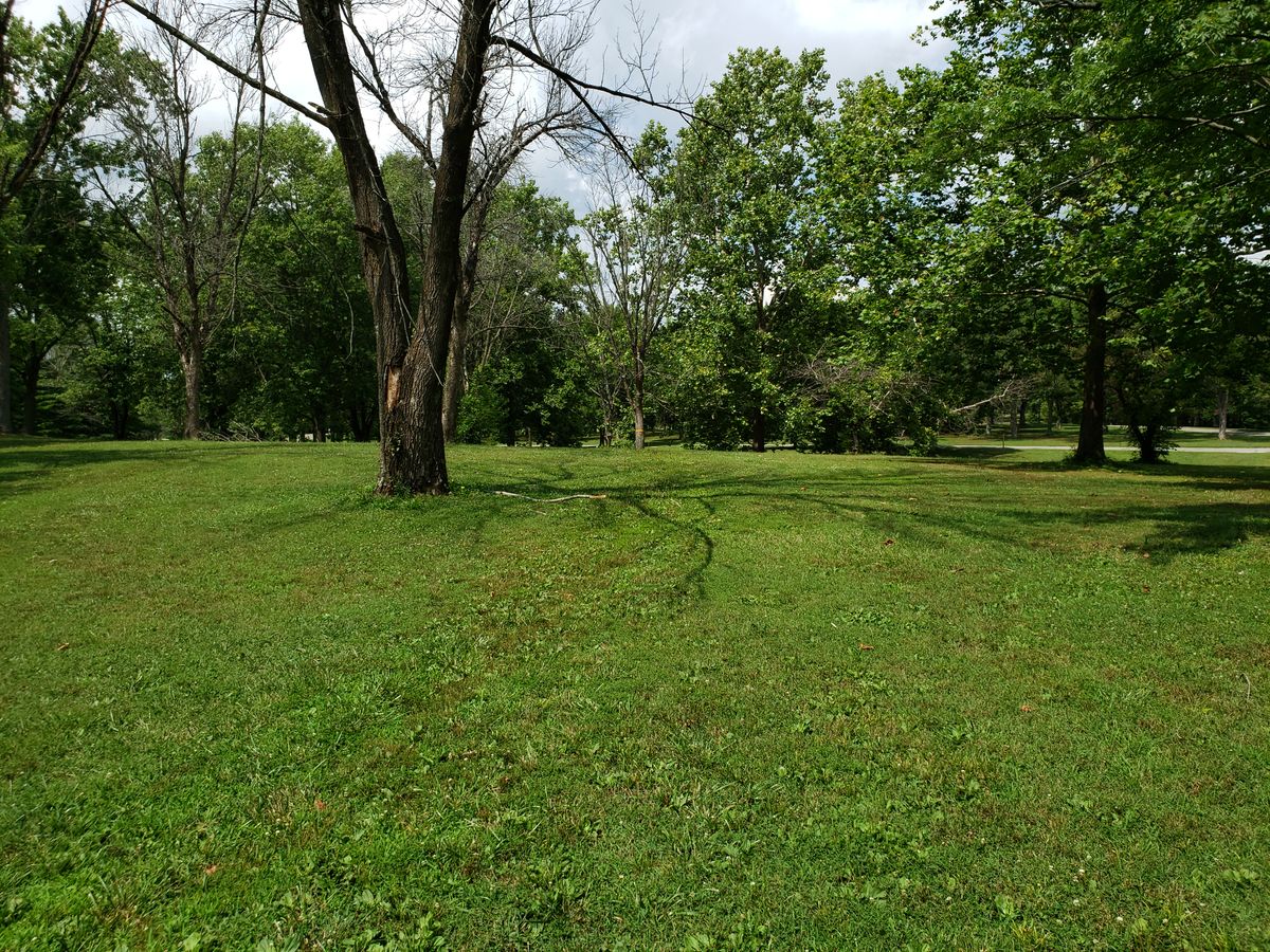 #8 Pro Tee shot view of Fairway.  Orange ribbon on tree marks location of #8 Basket.