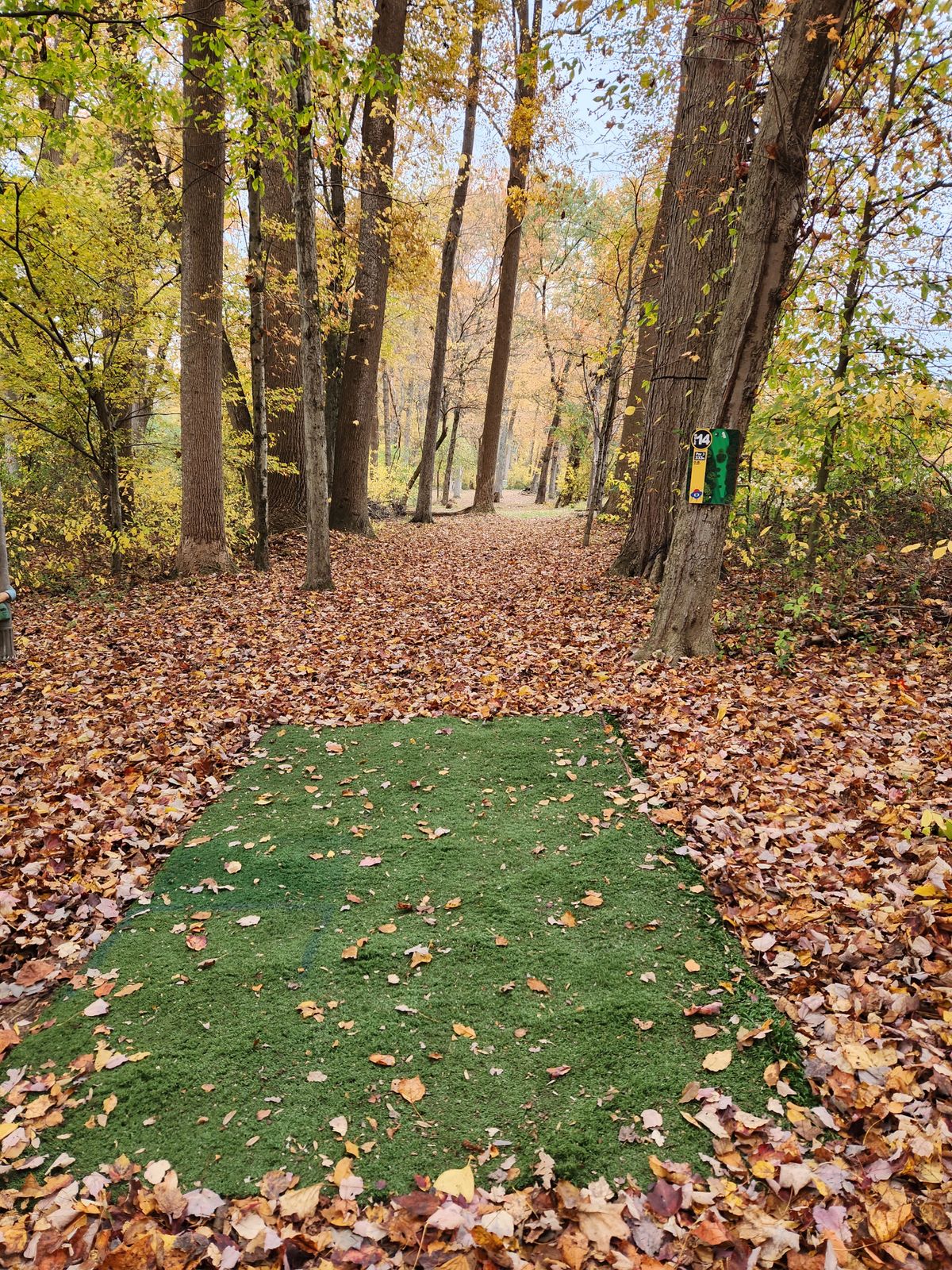 Hole 14 tee pad