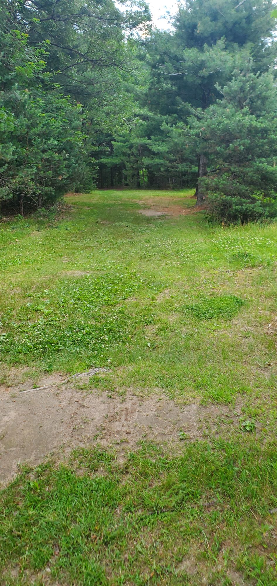 Hole #8 from tee.